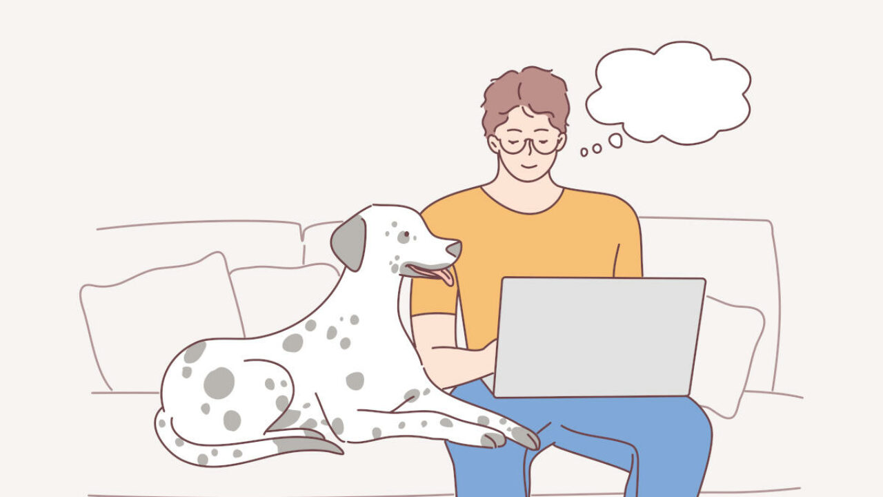 Aprende idiomas con Bussu, la alternativa a Duolingo
