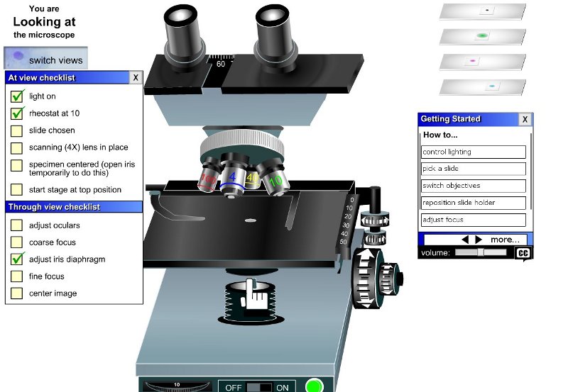 simulador microscopio