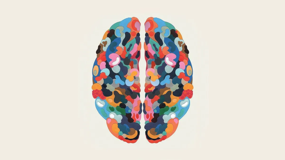 the creative brain