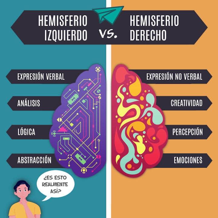infografía hemisferio izquierdo vs. hemisferio derecho
