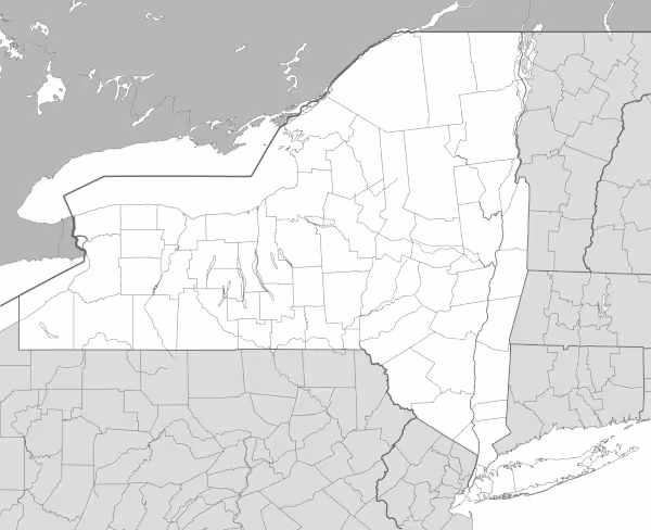 new york state map